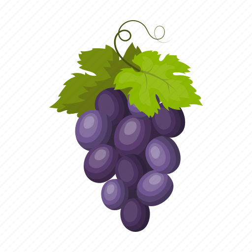 Bunch, country, culture, grapes, sightseeing, spain, travel icon - Download on Iconfinder