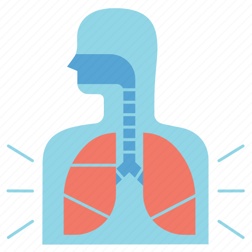 Lungs, organs, bleeding, covid, damage icon - Download on Iconfinder