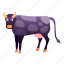baby, cow, fashion, violet 