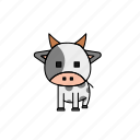 cow, farm animal, animal, milk, farming, udder, cow face
