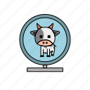 cow, farm animal, animal, milk, farming, cow face, mirror