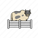 cow, farm animal, animal, milk, farming, cow face, farm