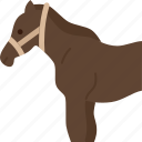 horse, equine, domestic, farm, animal