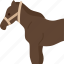 horse, equine, domestic, farm, animal 