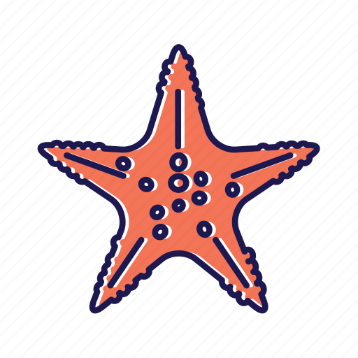 Star, seastar, sea, ocean, summer, beach, star icon icon - Download on Iconfinder