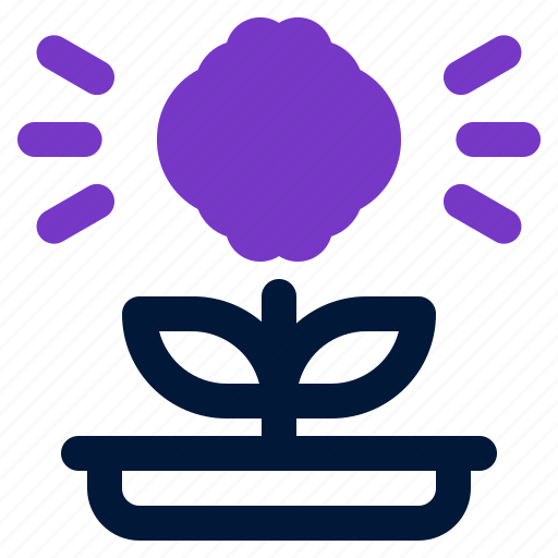 Growth, mindset, success, business, brain icon - Download on Iconfinder