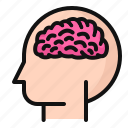 brain, head, mind, idea, neuro, psychology, brainstorm