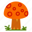 autumn, fall, mushroom, plant 