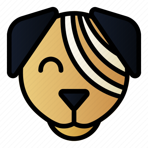 Bandage, dog, pet, vet, veterinary icon - Download on Iconfinder