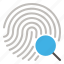 fingerprint, identification, investigation, evidence, search 