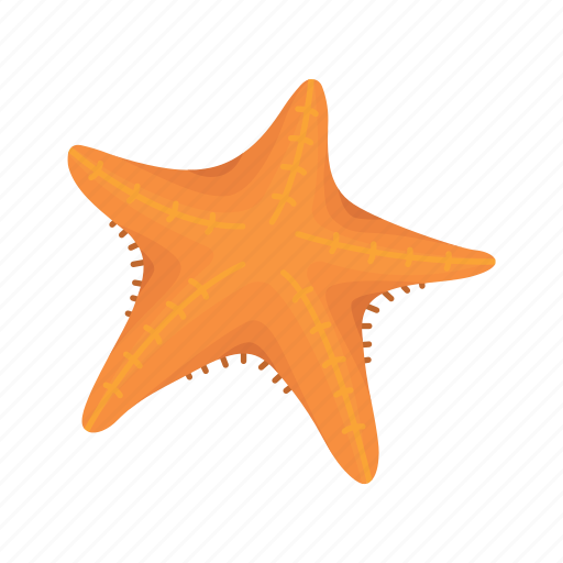 Animal, corals, crustacean, patrick, sea stars, star, starfish icon - Download on Iconfinder