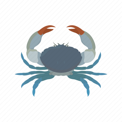 Animal, blue crab, chesapeake blue crab, crab, invertebrate, sea creature, seafood icon - Download on Iconfinder