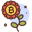 flower, finance, invest, crypto, bitcoin 
