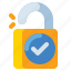 decryption, lock, safety, protection 