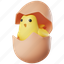 hatch egg, chick, chickling, hatch, shell, easter egg, easter day, happy easter, decoration 