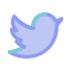 twitter, social, media, bird 