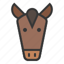 animal, face, farm, head, horse