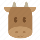 animal, bull, cattle, cow, cute, dairy, head