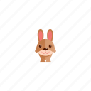 rabbit, animal, cute