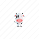 cow, animal