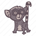 lemur, primate, animal, monkey, zoo, wild, wildlife