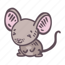 mouseanimal, rodent, pet, mice, pest