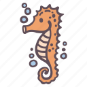 seahorse, sea, animal, ocean