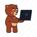 bear, teddy, laptop