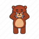 bear, teddy, cry