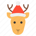 animal, christmas, deer, hat, reindeer, xmas, zoo