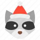 animal, christmas, hat, raccoon, rodent, xmas, zoo