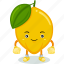 lemon, mascot, cartoon, character, funny, cute, vector, food, fruit 