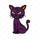 black, cat, colored, animals, scary, black cat, superstition, spooky