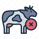 cow, animal, livestock, dairy, product, farm, agriculture, unhealthy cow