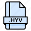 file, file extension, file format, file type, hyv 