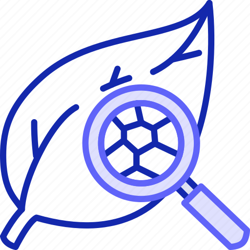 Data, science, icon, biology, leaf, magnifier, analysis icon - Download on Iconfinder