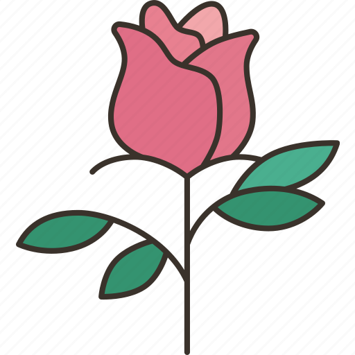 Rose, flower, blossom, valentine, romantic icon - Download on Iconfinder