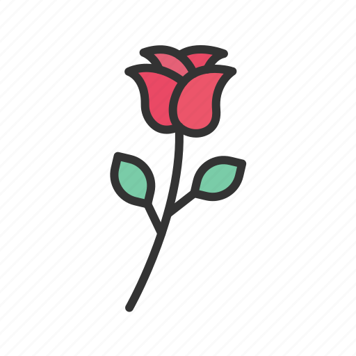 Rose, flowers, bouquet, present, flower, floral, romantic icon - Download on Iconfinder
