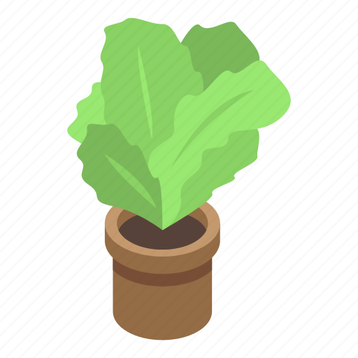 Cartoon, floral, flower, isometric, office, plant, pot icon - Download on Iconfinder