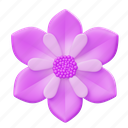 purple, flower, floral, leaf, nature, blossom, spring, decoration, decorative 