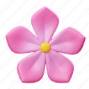 vinka, flower, floral, plant, leaf, nature, blossom, spring, decorative 