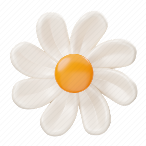 Daisy, flower, floral, leaf, nature, blossom, spring 3D illustration - Download on Iconfinder