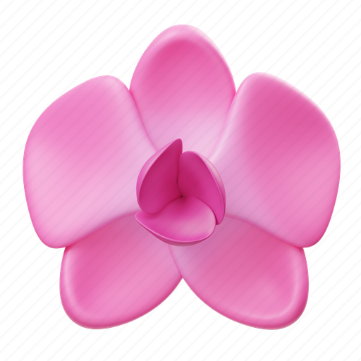 Orchid, flower, floral, plant, leaf, nature, blossom 3D illustration - Download on Iconfinder