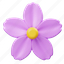lilac, flower, floral, leaf, nature, blossom, spring, decoration, decorative 