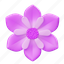 purple, flower, floral, leaf, nature, blossom, spring, decoration, decorative 
