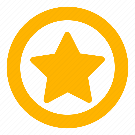 Assessment Premium Rating Round Star Icon