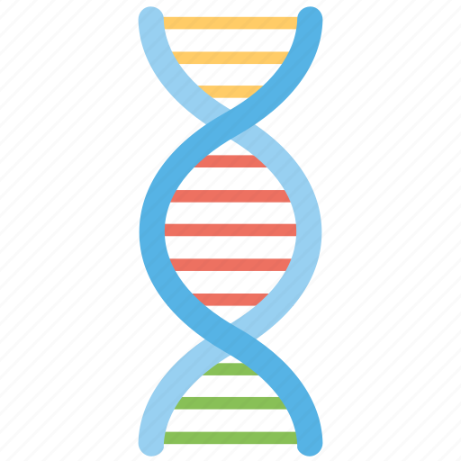 Dna, dna helix, dna strand, genetics, molecule icon - Download on Iconfinder