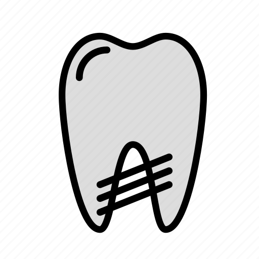 Medicine, oral, rootbound, stomatology icon - Download on Iconfinder