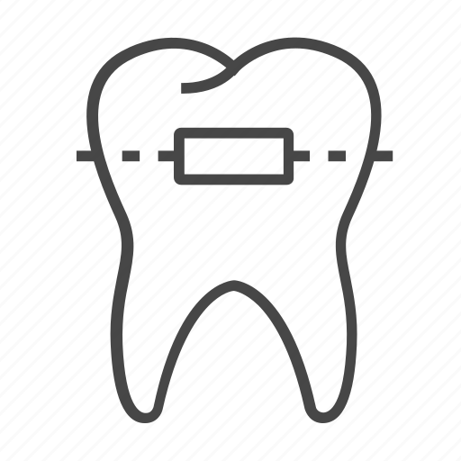 Anatomy, bare, tooth icon - Download on Iconfinder