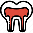 canal, dental, dentist, healthcare, medical, root, tooth